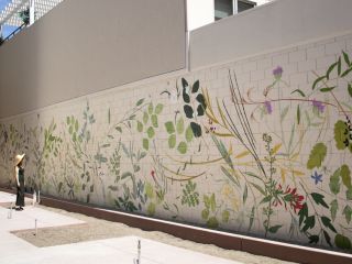 A Graffiti Covered Wall